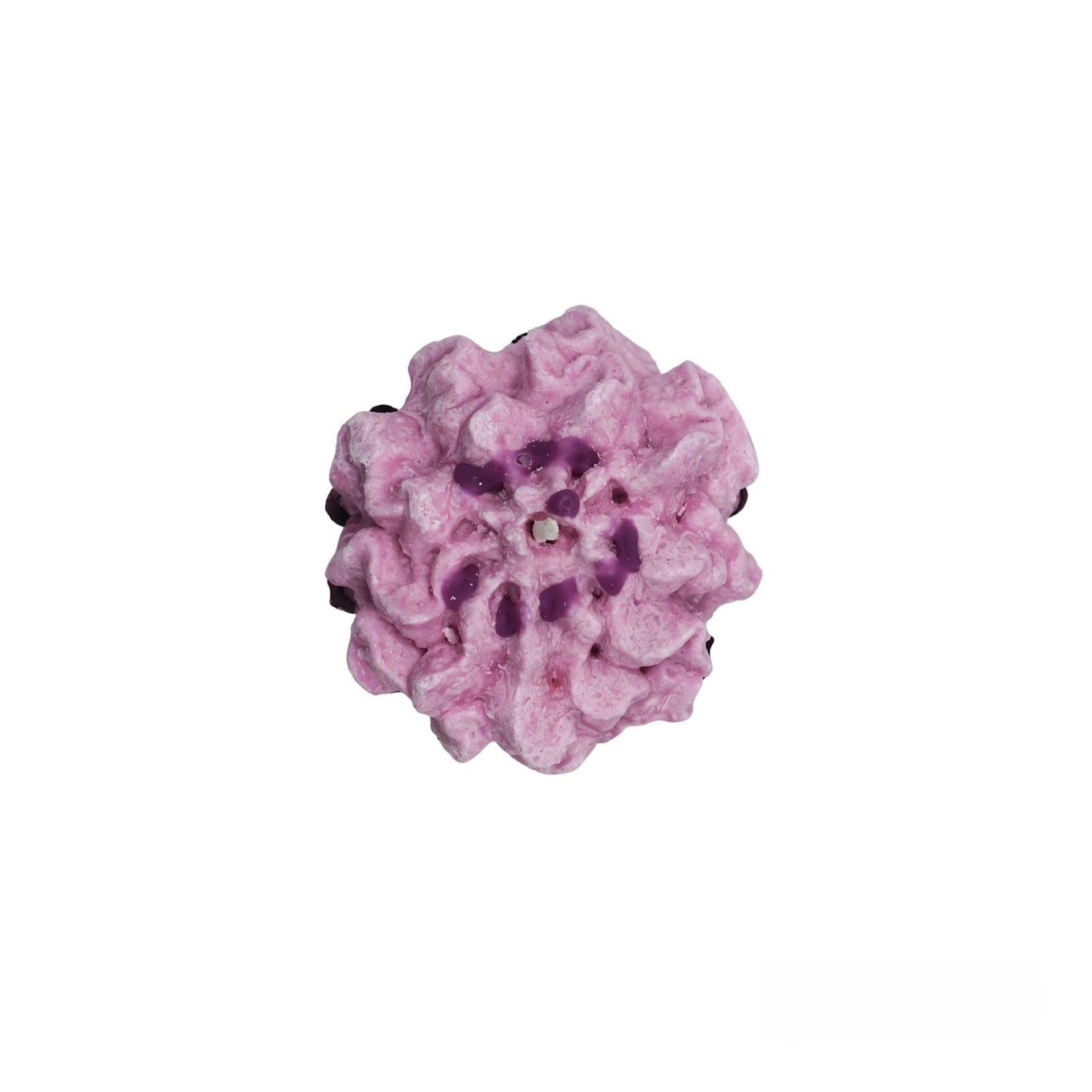 Island Flowers Meringue